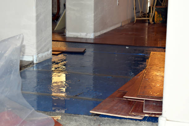 Professional Water Damage technician working in Van, TX